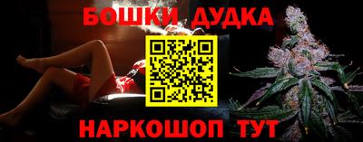 сатива Новодвинск