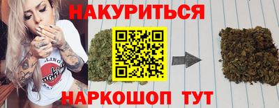 сатива Новодвинск