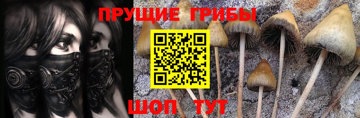 Псилоцибиновые грибы GOLDEN TEACHER  Вход с VPN  Феодосия  Псилоцибиновые грибы MAGIC MUSHROOMS 